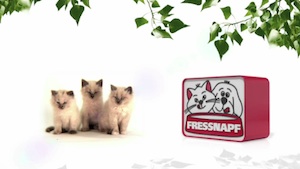 InstoreTV Fressnapf-Märkte