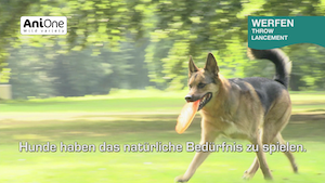 Hundespielzeug aus Thermoplastik - da geht nichts kaputt!